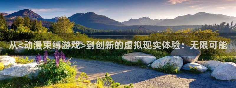 动漫天堂官方正版下载：从<动漫束缚游戏>到创新的虚拟现实体验：无限可能