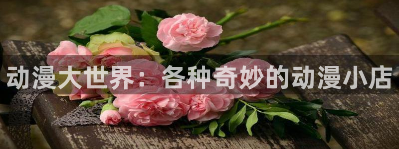 黄动漫天堂：动漫大世界：各种奇妙的动漫小店