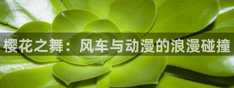 禁漫动漫天堂：樱花之舞：风车与动漫的浪漫碰撞