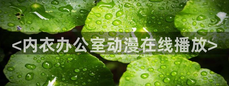 91动漫天堂：<内衣办公室动漫在线播放>