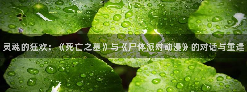 3d动漫天堂：灵魂的狂欢：《死亡之墓》与《尸体派对动漫》的对话与重逢