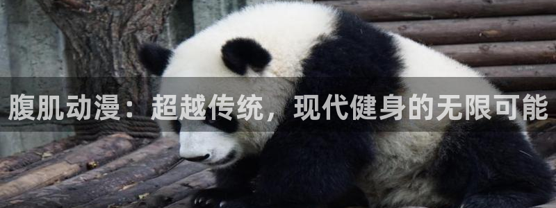 动漫天堂3d：腹肌动漫：超越传统，现代健身的无限可能