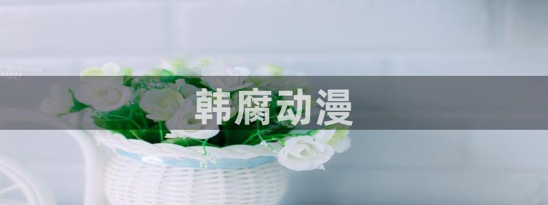 动漫天堂18：韩腐动漫