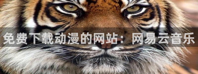 成人动漫天堂：免费下载动漫的网站：网易云音乐