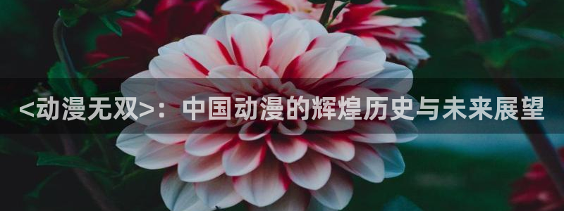 动漫天堂官方正版下载：<动漫无双>：中国动漫的辉煌历史与未来展望