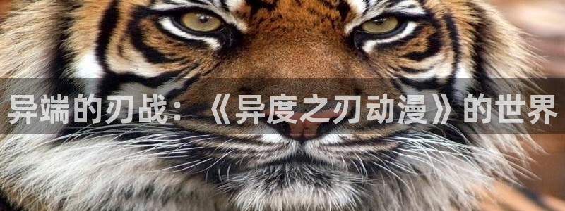 动漫天堂之吻：异端的刃战：《异度之刃动漫》的世界