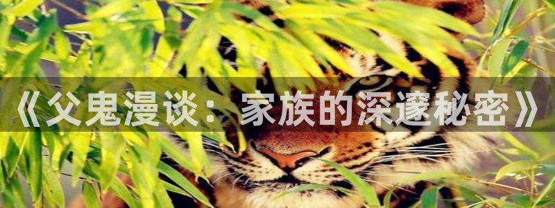 动漫天堂免费在线观看：《父鬼漫谈：家族的深邃秘密》